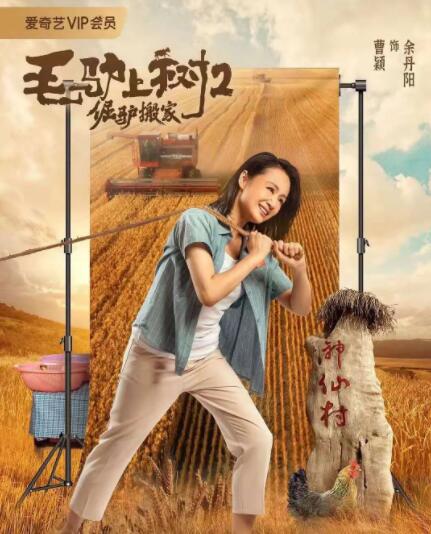 五月天激激婷婷大综合丁香