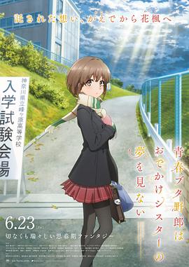 91精品调教在线观看