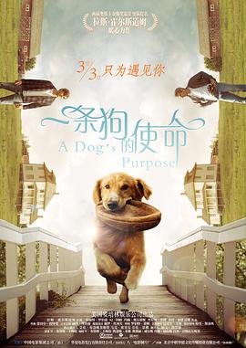 成人午夜视频福利