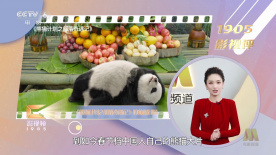 暗交小拗女一区二区三
